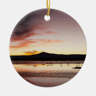 Chilean Flamingo Keramik Ornament