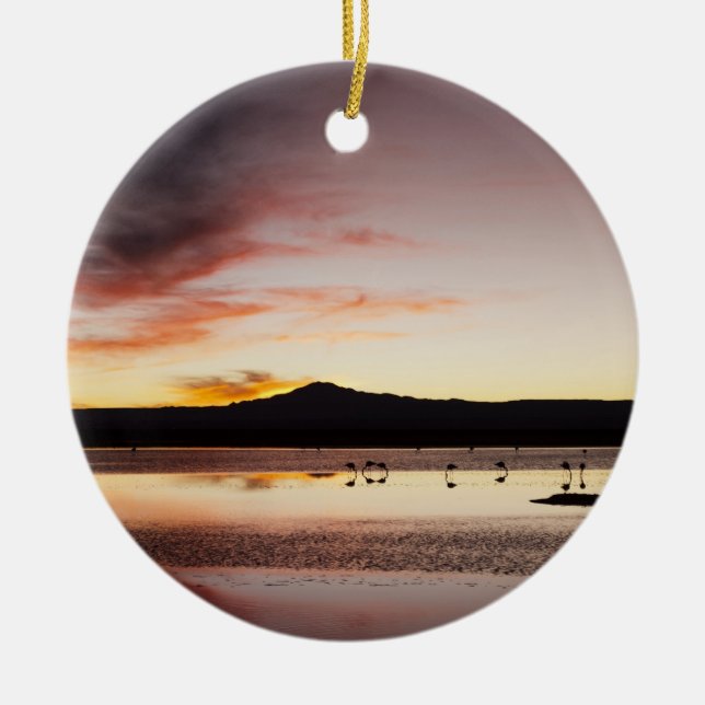 Chilean Flamingo Keramik Ornament (Vorne)