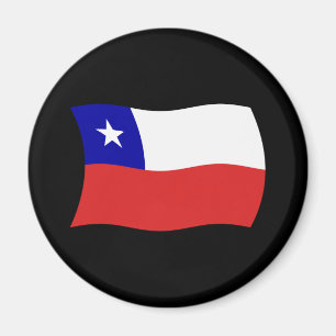 Chilenische Flagge Magnet