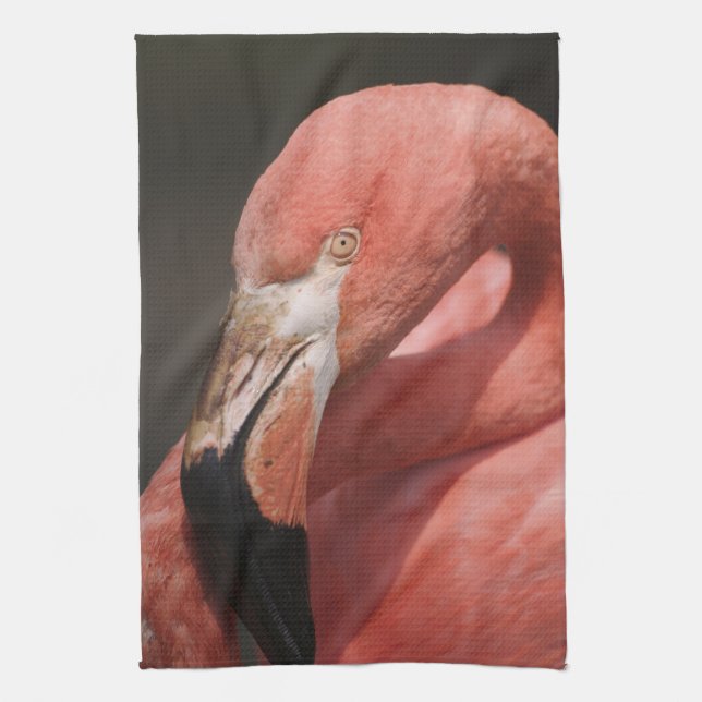 Chilenische Flamingo, Phoenicopterus chilensis Handtuch (Vertikal)