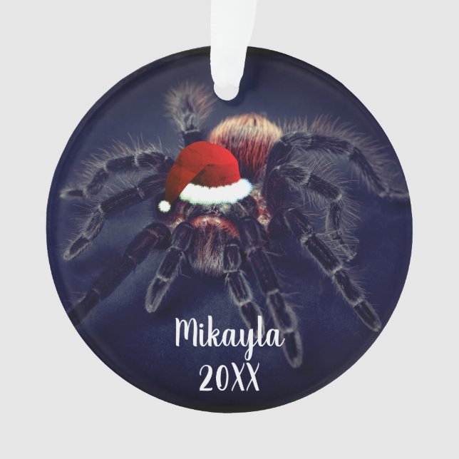  Chilenische Rose Haar Tarantula in Weihnachtsmann Ornament (Vorderseite)