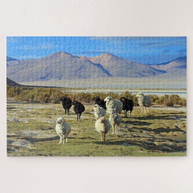 Chilenische Schafe 1014-pc Puzzle (Horizontal)