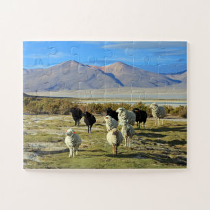 Chilenische Schafe 30-pc Puzzle