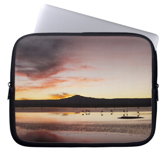Chilenischer Flamingo Laptopschutzhülle (Vorderseite)