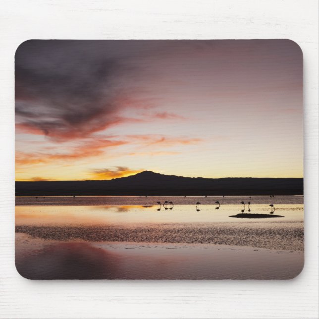 Chilenischer Flamingo Mousepad (Vorne)