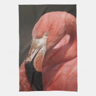 Chilenischer Flamingo, Phoenicopterus chilensis Handtuch