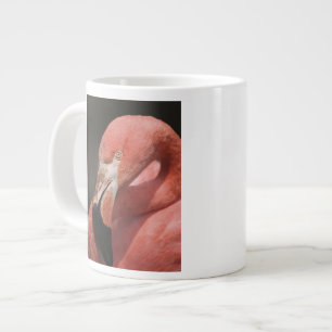 Chilenischer Flamingo, Phoenicopterus chilensis Jumbo-Tasse