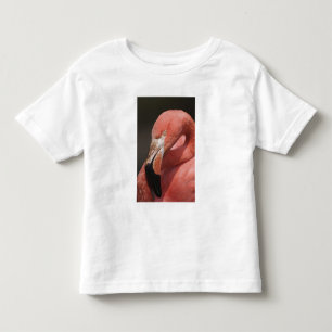 Chilenischer Flamingo, Phoenicopterus chilensis Kleinkind T-shirt