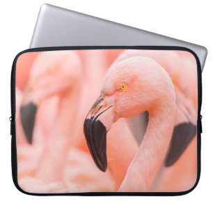 Chilenischer Flamingo (Phoenicopterus chilensis), Laptopschutzhülle