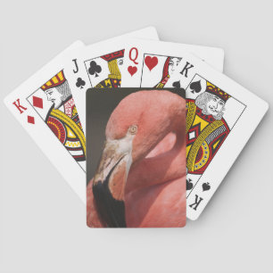 Chilenischer Flamingo, Phoenicopterus chilensis Spielkarten
