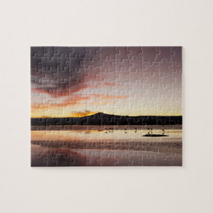 Chilenischer Flamingo Puzzle