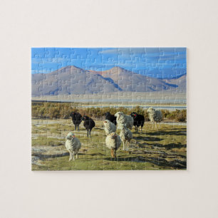 chilenisches Schaf Puzzle
