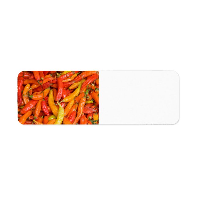 Chili (Vorne)