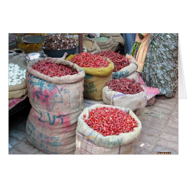 Chili-Paprikaschoten (Vorderseite (Horizontal))