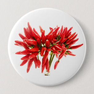 Chili-Paprikaschoten Button