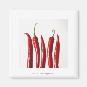 Chili-Paprikaschoten in einer Reihe Magnet