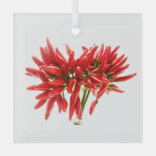 Chili-Paprikaschoten Ornament Aus Glas
