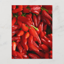Chili-Paprikaschoten Postkarte