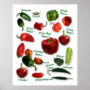 Chili Pfeffersorten Poster