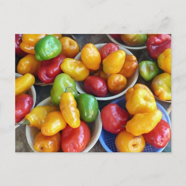 CHILIES POSTKARTE (Vorderseite)