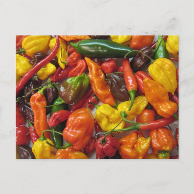 Chilihead-Karte Postkarte (Vorderseite)