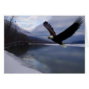 Chilkat-Adlerreservatskarte