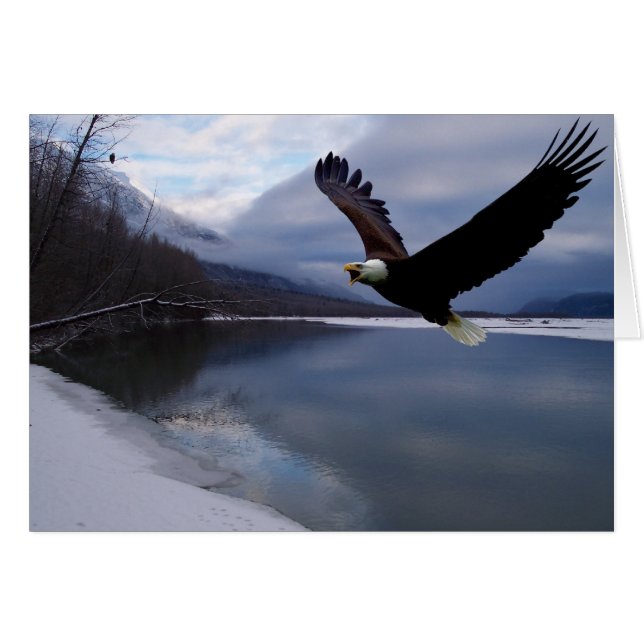 Chilkat-Adlerreservatskarte (Vorderseite (Horizontal))