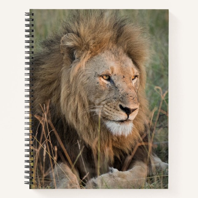 Chill Lion Personalize Name Notizbuch (Vorderseite)