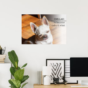 Chillax Chihuahua schläfrig entspannt Zunge raus F Poster