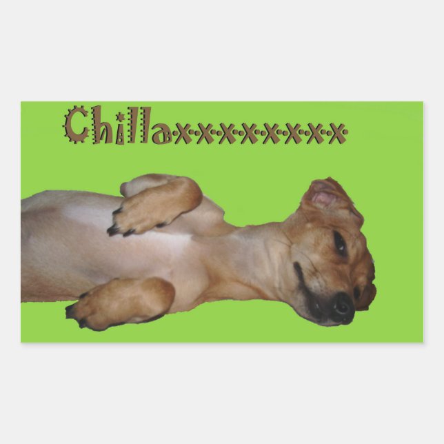 Chillaxin Chiweenie Sticker (Vorderseite)