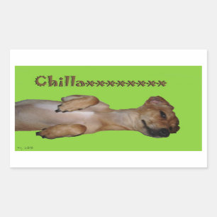 Chillaxin Chiweenie Sticker