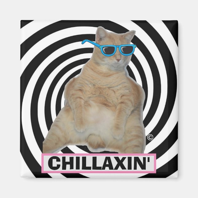 CHILLAXIN" Fett Manx Katze mit Sonnenbrille Magnet (Vorne)