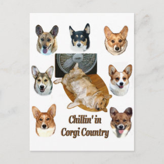 Chillin' in Corgi Country Postkarte