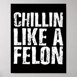 Chillin wie ein Felon Retro Funny Trump Sommer 202 Poster