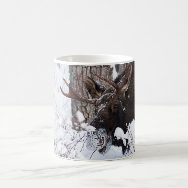 Chilly Moose Kaffeetasse (Mittel)