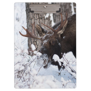 Chilly Moose Klemmbrett