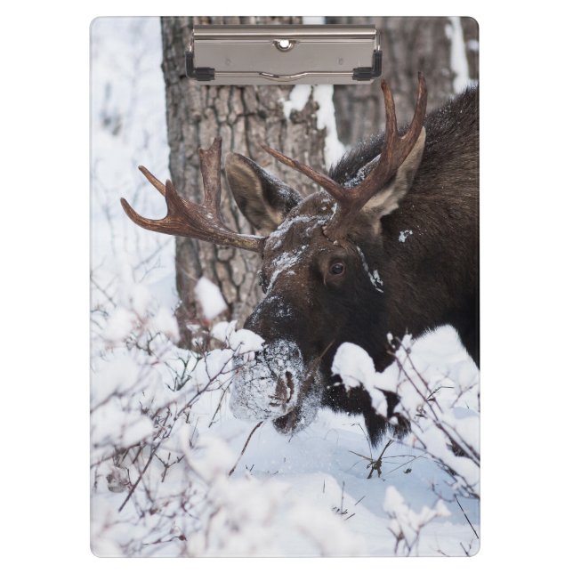 Chilly Moose Klemmbrett (Vorderseite)