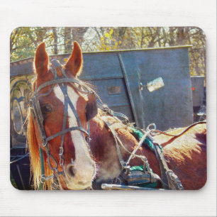Chilly Morning Amish Horse Mousepad