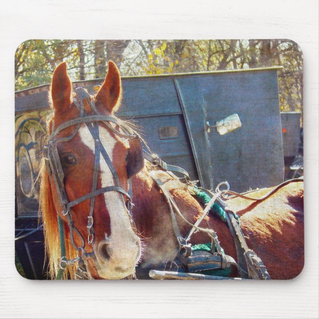 Chilly Morning Amish Horse Mousepad (Vorne)