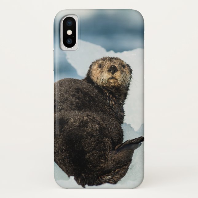 Chilly Sea Otter Case-Mate iPhone Hülle (Rückseite)