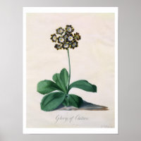 Chilton-Ruhm (gouache an Vellum)