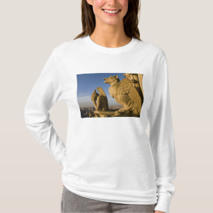 Chimera auf der Fassade der Kathedrale Notre Dame, T-Shirt