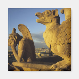 Chimera, re Dame Cathedral, Paris, Frankreich Magnet