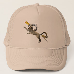 Chimera Truckerkappe