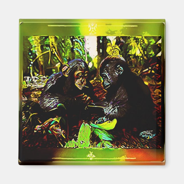 Chimp and Gorilla Cooperation 02. Magnet (Vorne)