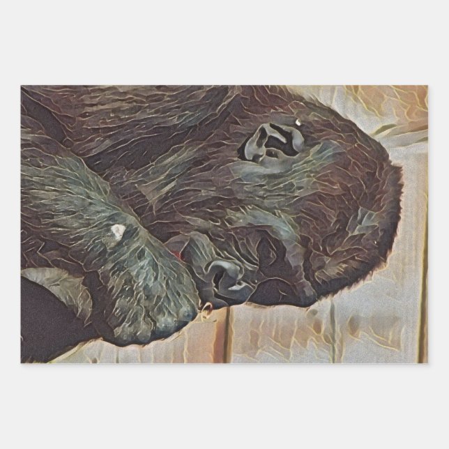 CHIMP ART GESCHENKPAPIER SET (Vorderseite)