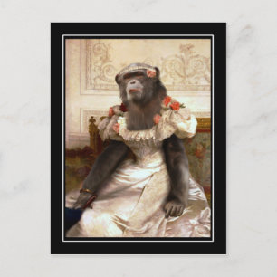 Chimp in Gown Postkarte