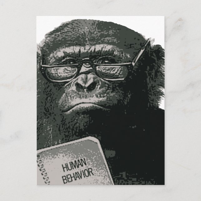 Chimp Reading Postkarte (Vorderseite)