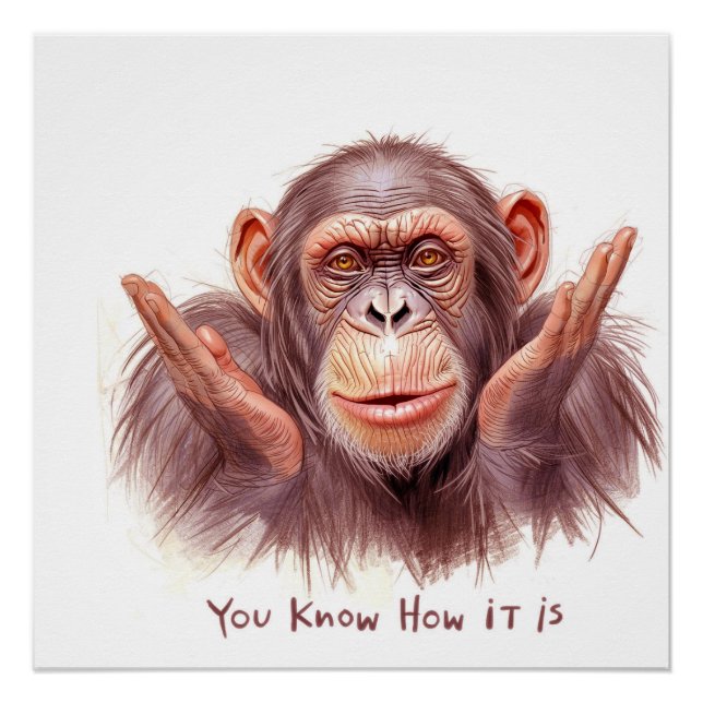 Chimp Telling You :"You Know How It Is" Poster (Vorderseite)