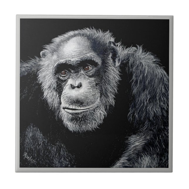 Chimp Tile - "Jacob" Fliese (Vorderseite)